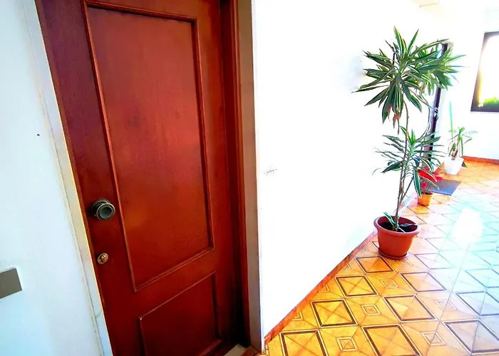 Amosina * La Maddalena (Sassari)